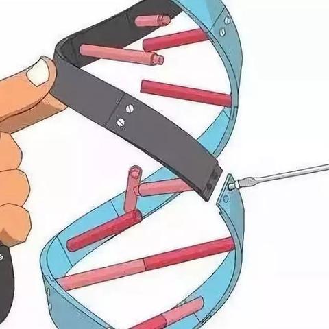 最新伦理区研究报告揭秘，数据真相大揭秘