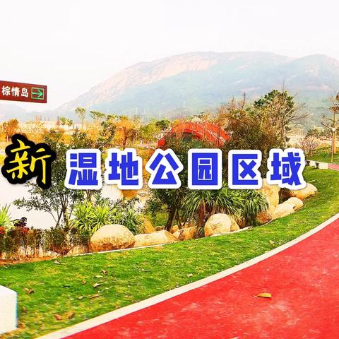 电子专用材料制造 第174页
