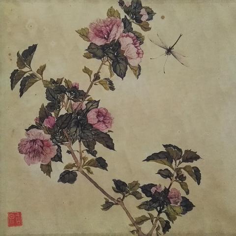 最准一码一肖100精准老钱庄揭秘,猴、蛇、兔、鼠_42-41-22-18-49-15 T：1753.974