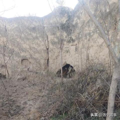 程姓人口数据报告，最新统计与分析